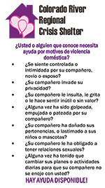 DVSafety